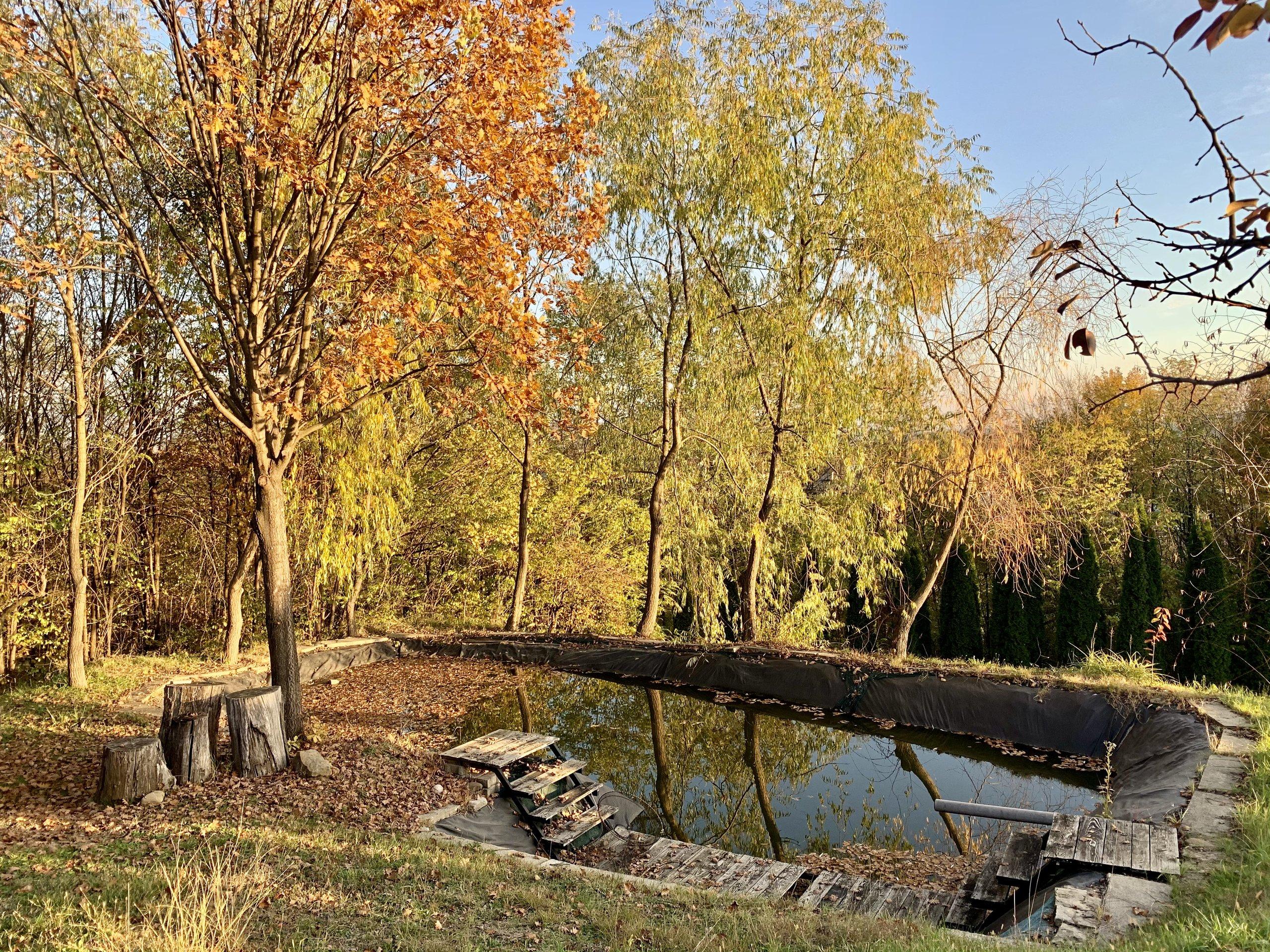 Livada și iazul de pe domeniul Hidden Hills