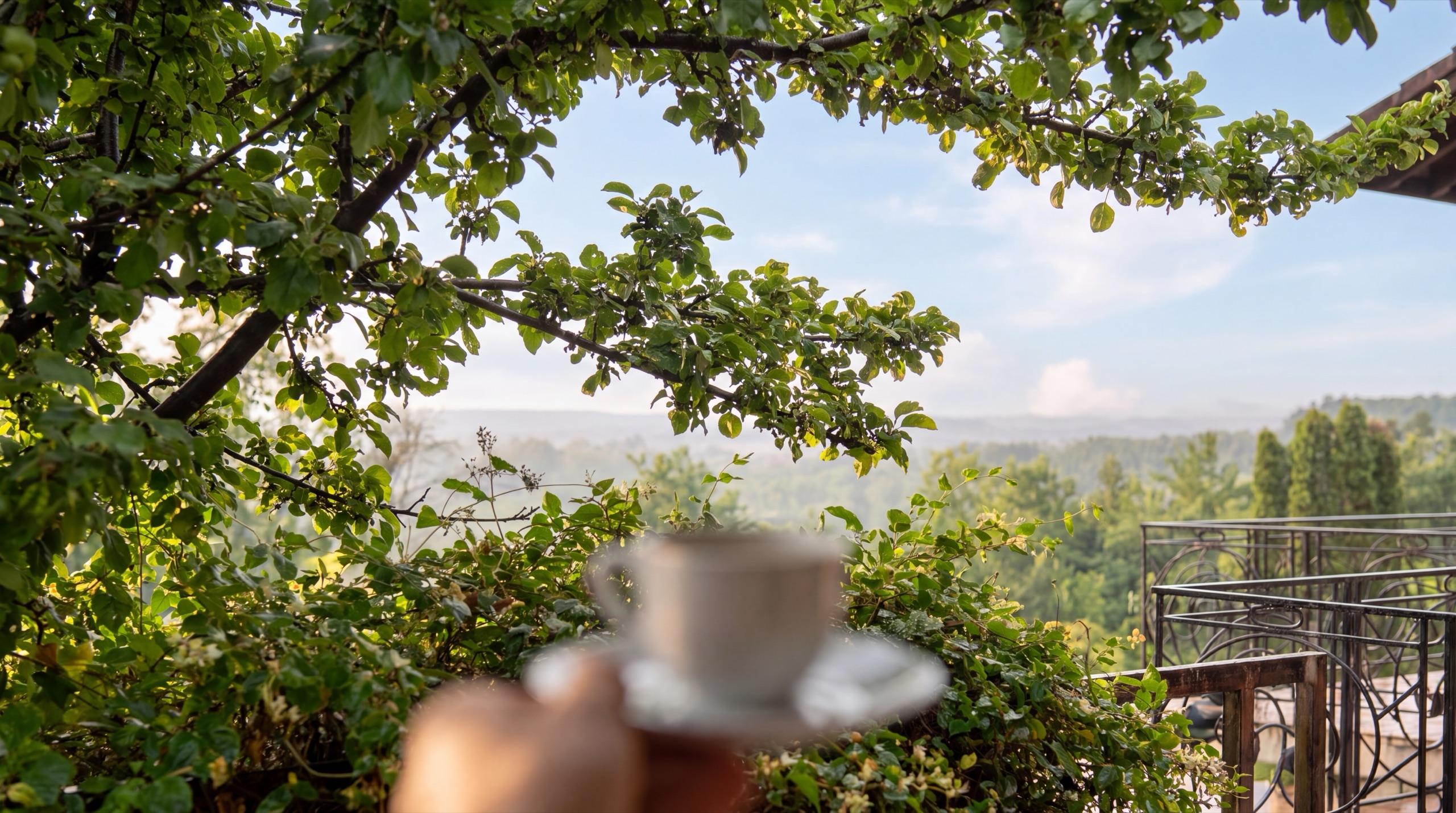 Terasa de la Hidden Hills într-o dimineață senină, cu o ceașcă de cafea ținută în mână în prim-plan, ramuri de măr deasupra și dealurile Prahovei în depărtare